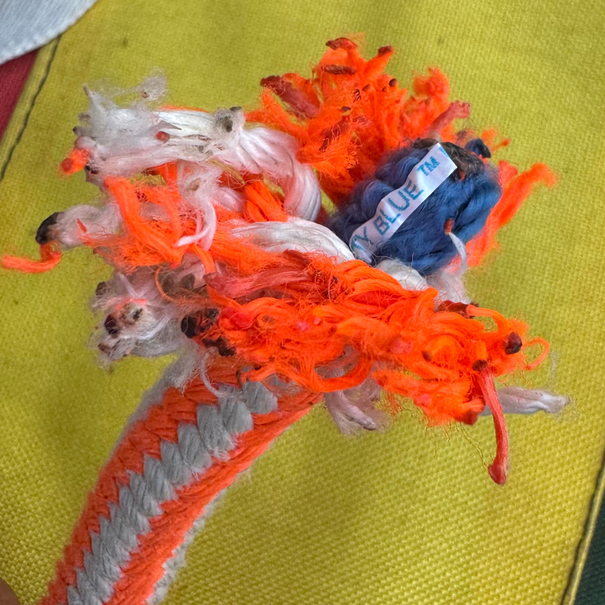 Pro Leash Set プロリーシュの別アングル商品写真